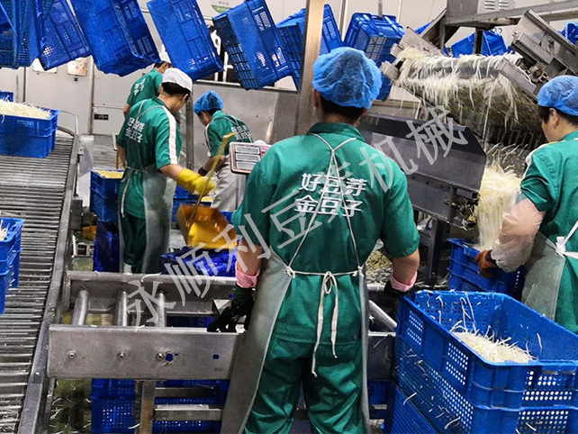 金豆子蔬菜食品有限公司某總日產200噸全自動豆芽菜設備